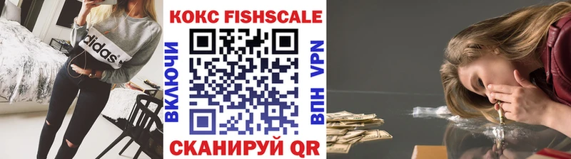 COCAIN Fish Scale  дарнет шоп  Палласовка 