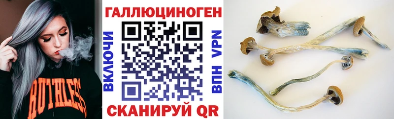 дарнет шоп  omg   Галлюциногенные грибы мухоморы  Палласовка 